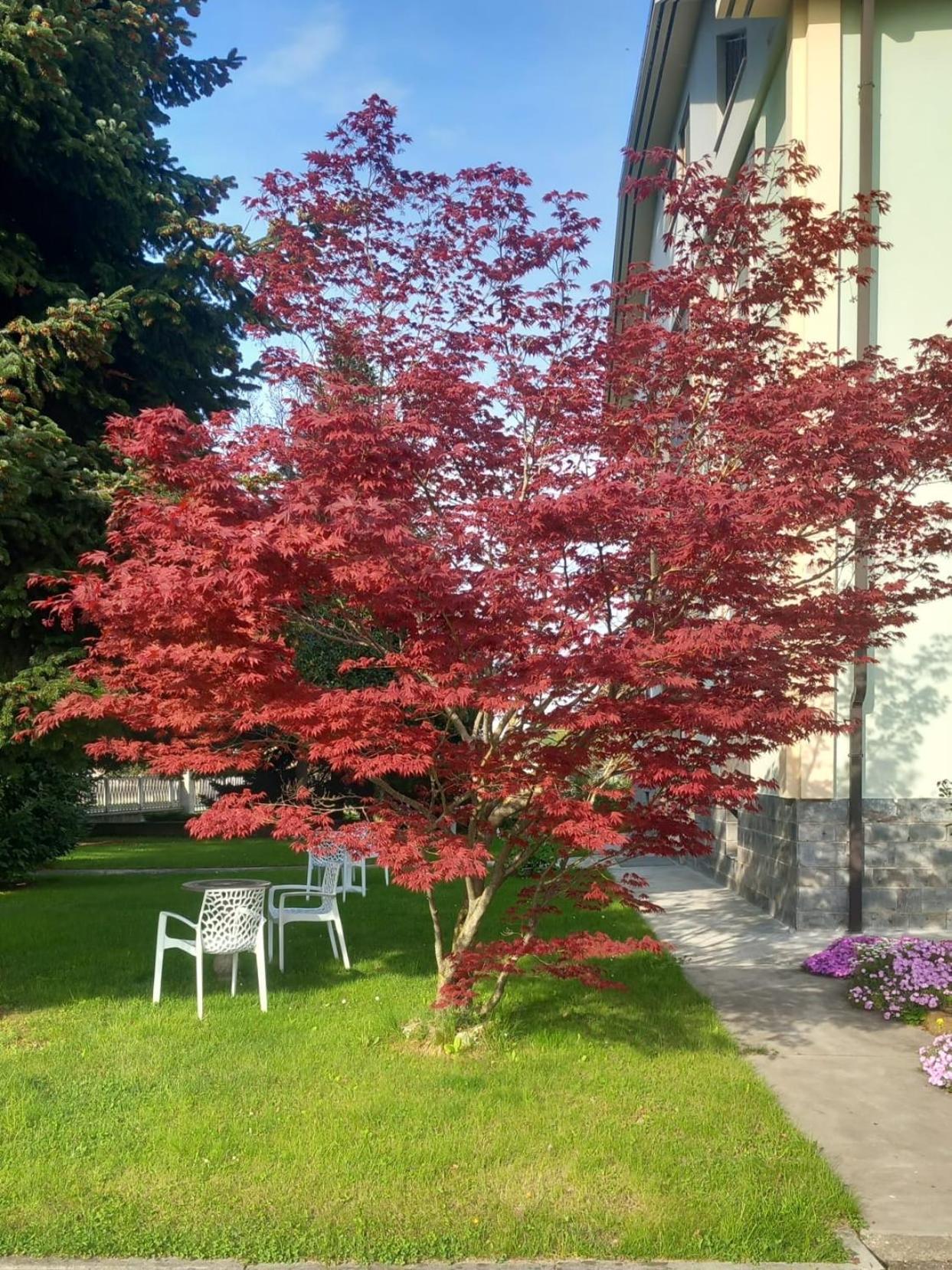 B&B Il Castagno Roccavione Екстер'єр фото