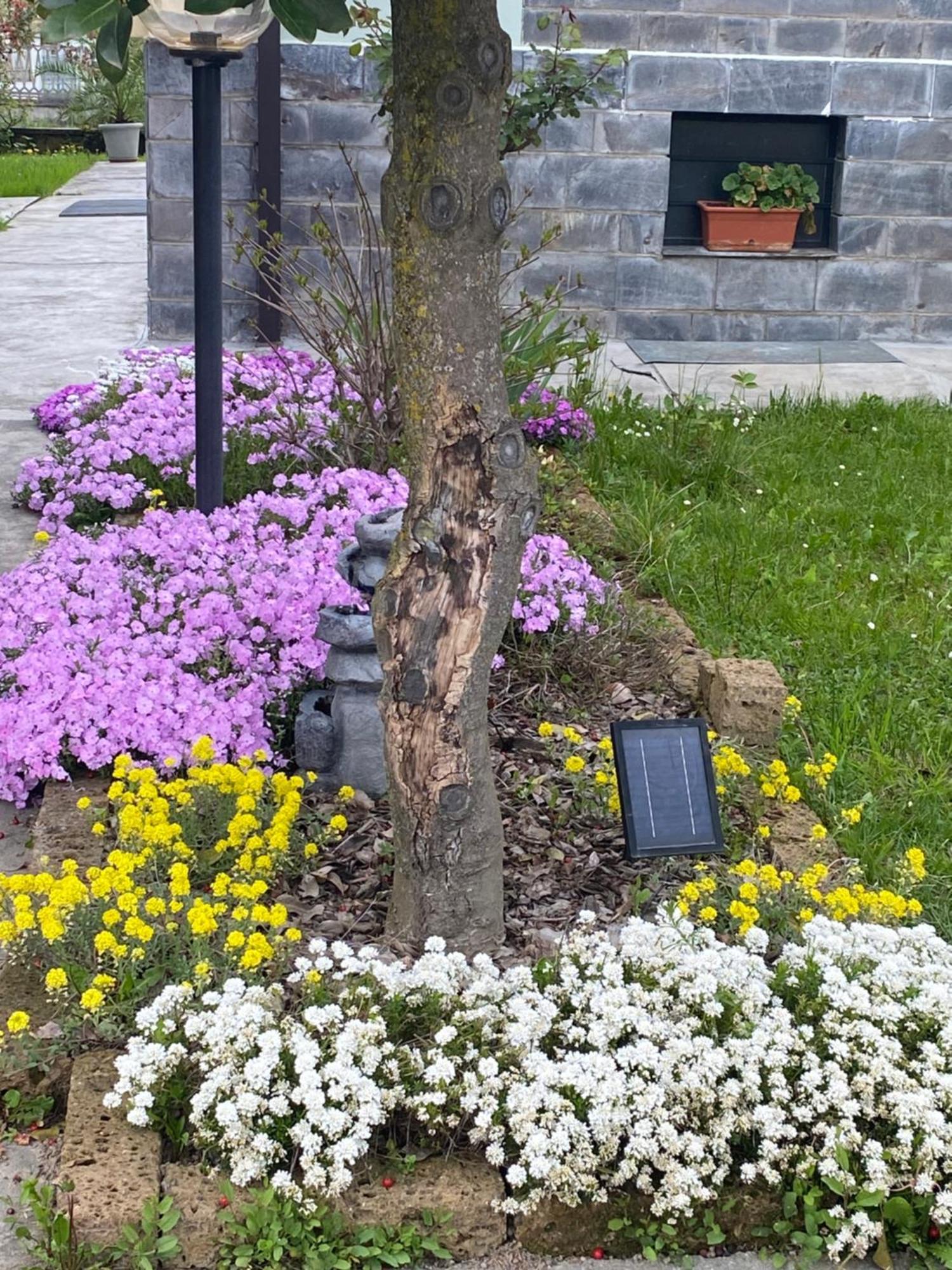 B&B Il Castagno Roccavione Екстер'єр фото